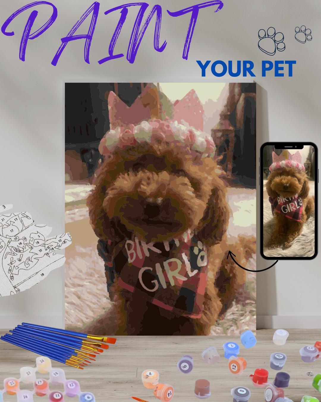 Personalised Paint By Number Kit